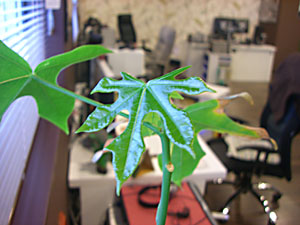 生きているだけで素晴らしい